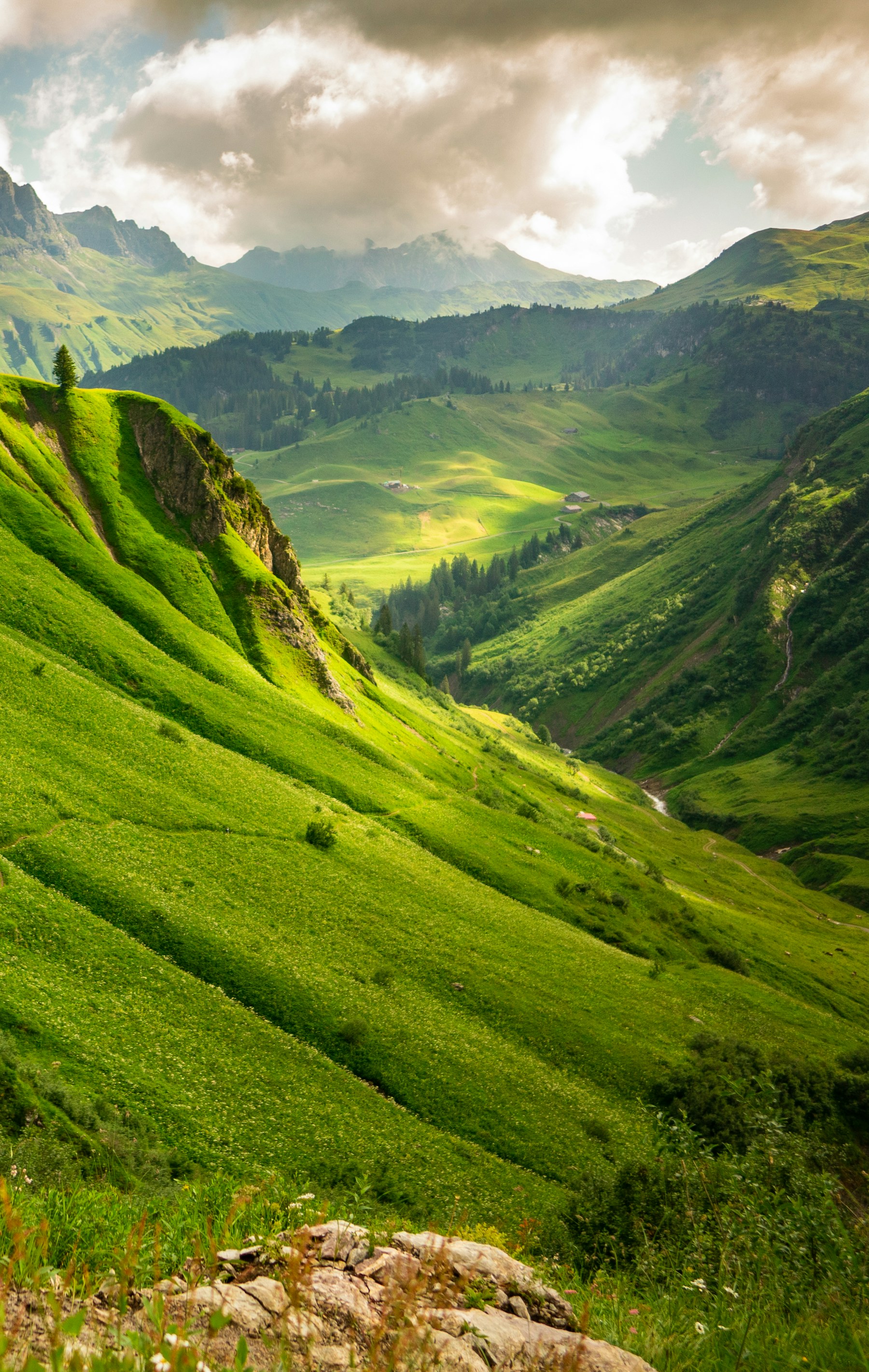 Stock landscape photograph placeholder