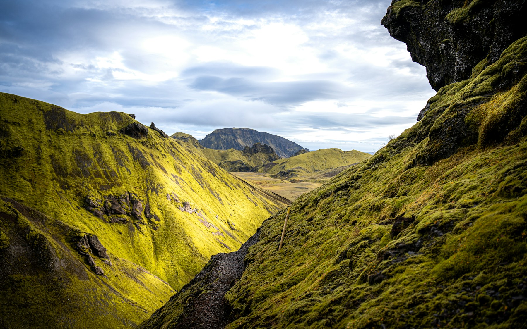 Stock landscape photograph placeholder